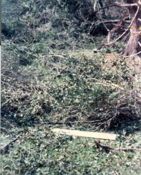 hurricanehugosept211989damagetoourproperty.jpg