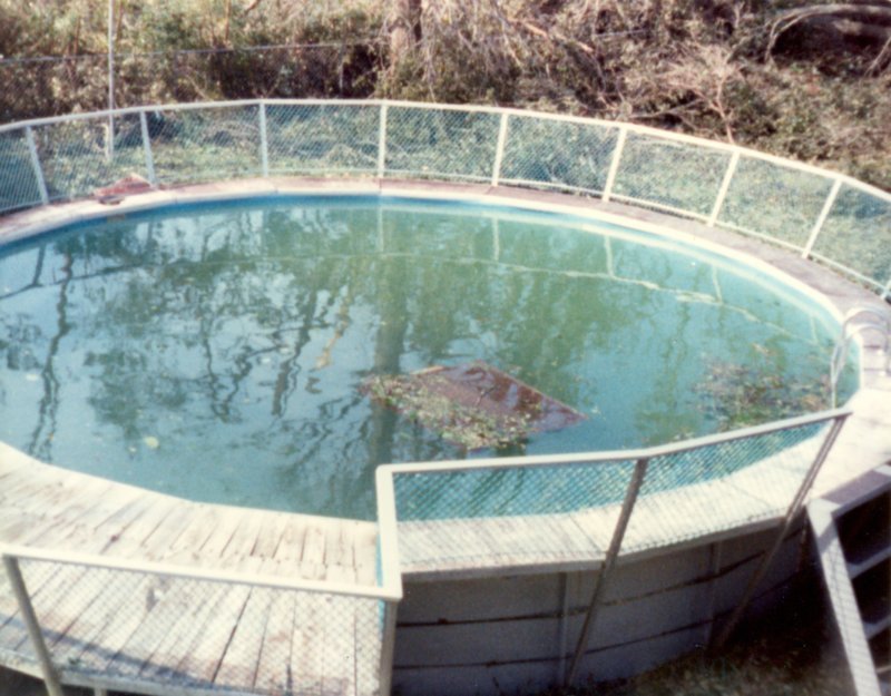hurricanehugosept211989damagetoourproperty3.jpg