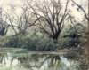 hurricanehugosept211989damagetoourproperty5_small.jpg
