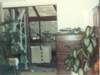 hurricanehugosept211989damagetoourproperty6_small.jpg
