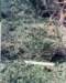 hurricanehugosept211989damagetoourproperty_small.jpg