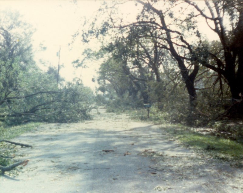 hurricanehugosept211989damagetoourstreet.jpg