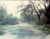 hurricanehugosept211989damagetoourstreet_small.jpg