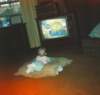 photo11_small.jpg