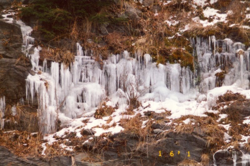 photo5.jpg