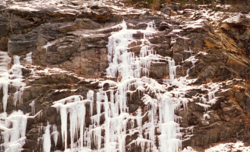 photo6.jpg
