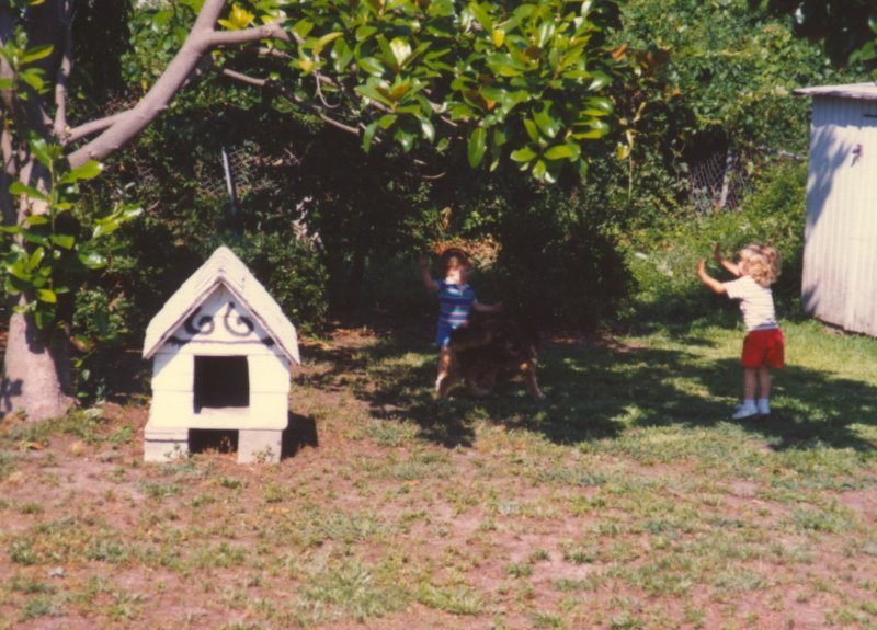 scan0243.jpg