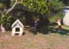 scan0243_small.jpg