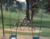 scan0266_small.jpg