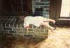 scan0320_small.jpg