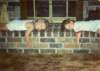 scan0328_small.jpg
