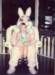 scan0343_small.jpg
