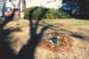 scan0347_small.jpg