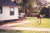 scan0387_small.jpg