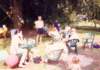 scan0390_small.jpg
