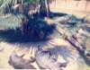 scan0432_small.jpg