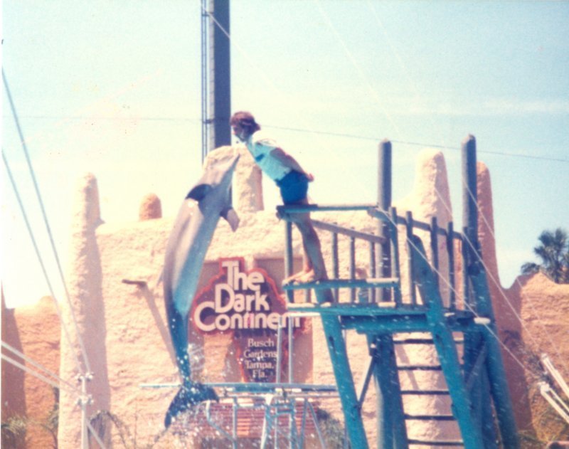 scan0441.jpg