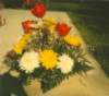 scan0445_small.jpg