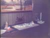 scan0447_small.jpg
