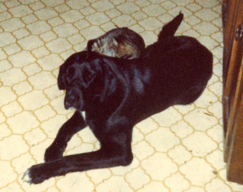 scan0456.jpg