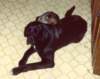 scan0456_small.jpg