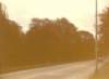 scan0474_small.jpg