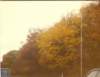 scan0479_small.jpg