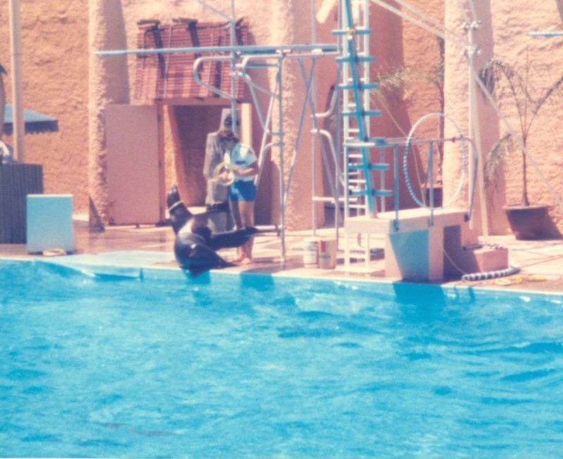 scan0501.jpg