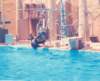 scan0501_small.jpg