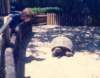 scan0504_small.jpg
