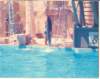 scan0514_small.jpg