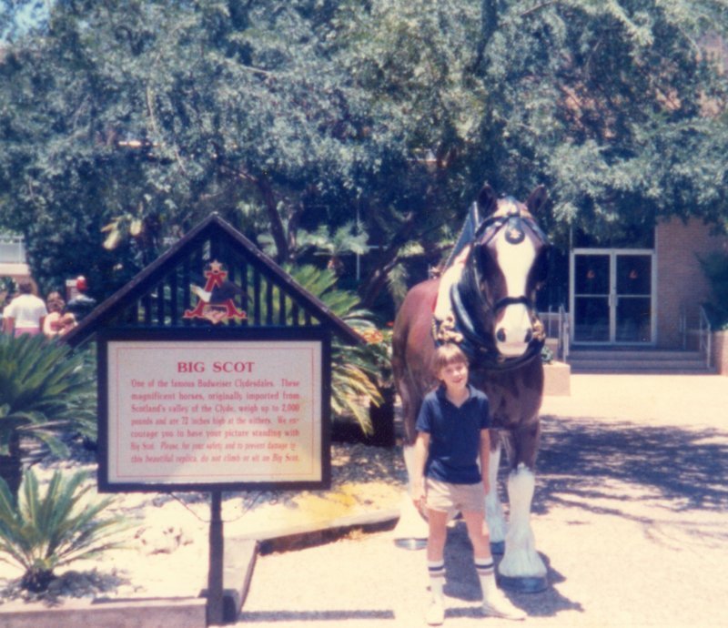scan0515.jpg
