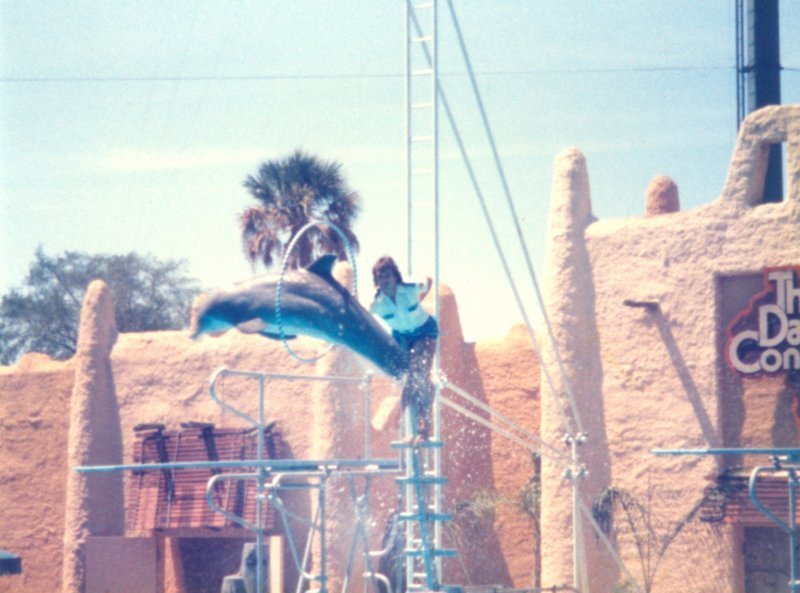 scan0542.jpg