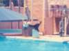 scan0545_small.jpg