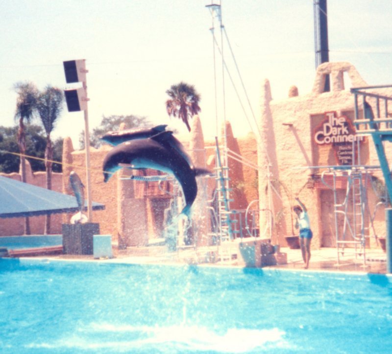 scan0548.jpg