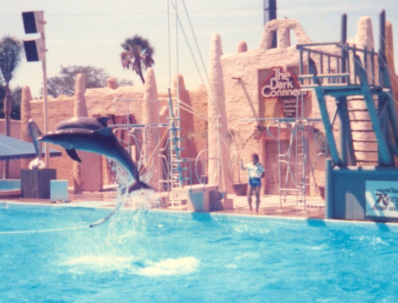 scan0564.jpg