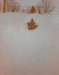 scan0566_small.jpg