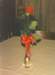 scan0604_small.jpg