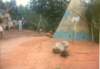 scan0645_small.jpg